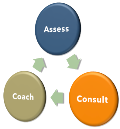 Assess Consult Coach